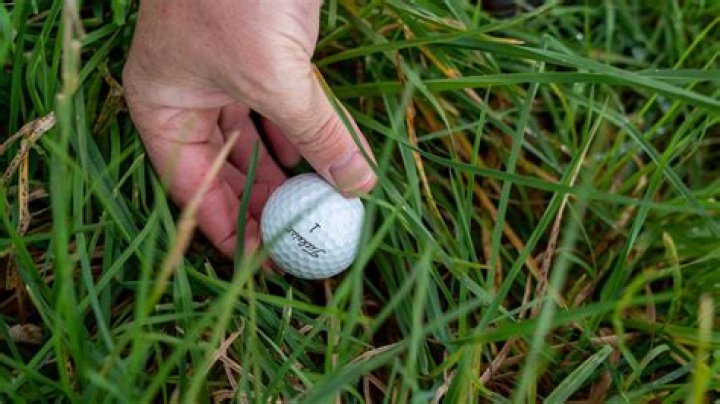What happens if you pick up a golf ball?