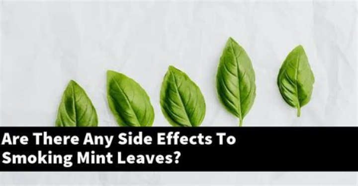 What happens if you smoke mint leaves?