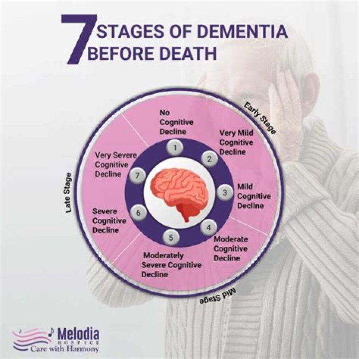 What happens in Stage 7 of dementia?