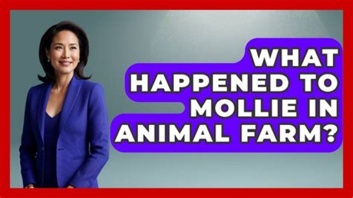 What happens to Mollie in Chapter 5?