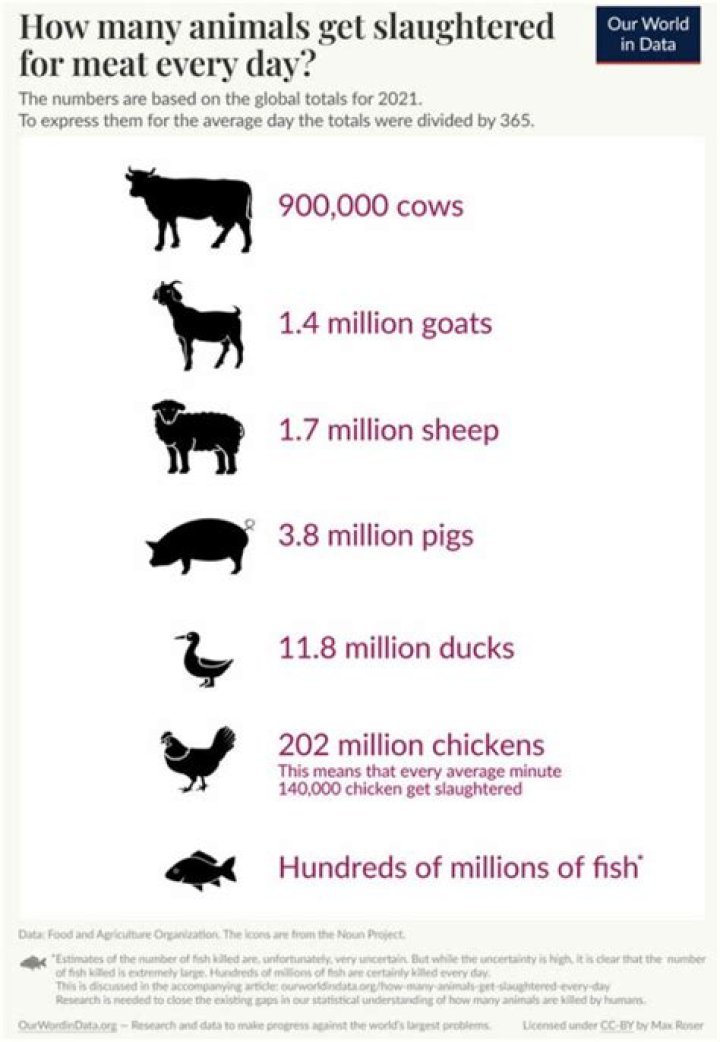 What happens to the bones of slaughtered animals?