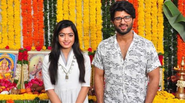 What happens to Vijay in Don?