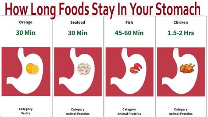What happens when food stays in your stomach too long?