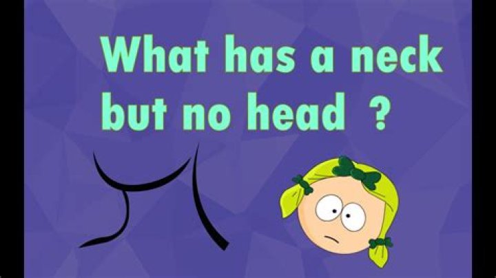 What has a head but no neck?