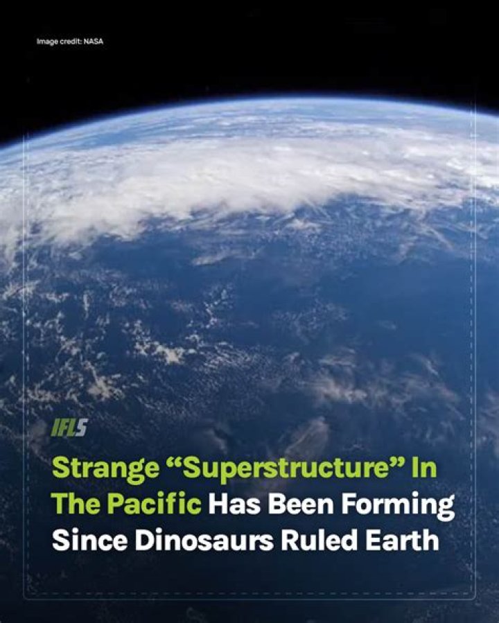 What has been on Earth since before the dinosaurs?