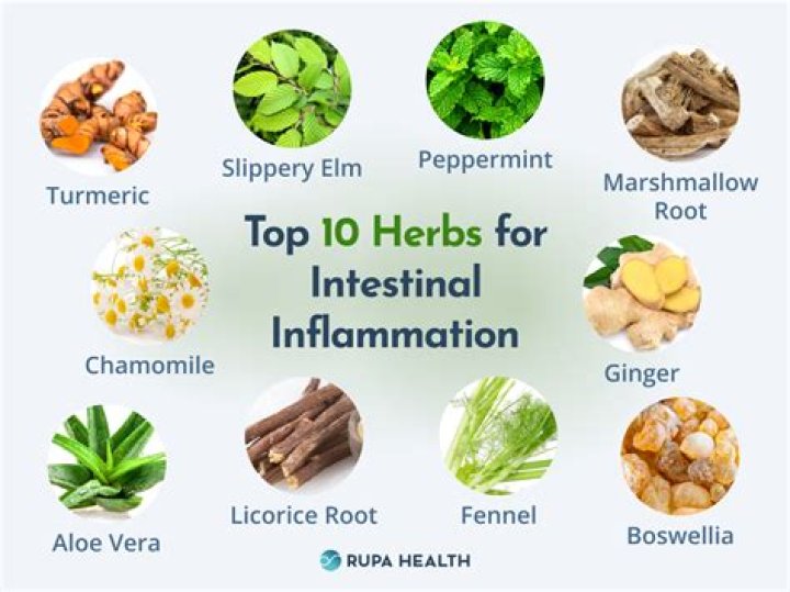 What Herb kills tuberculosis?