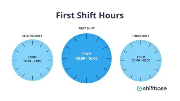 What hours are rats most active?