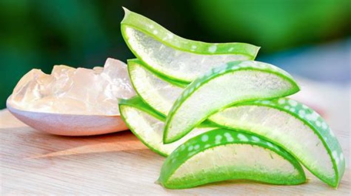 What if a dog eats aloe vera?