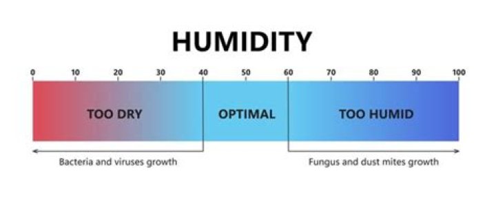 What is a good basement humidity level?