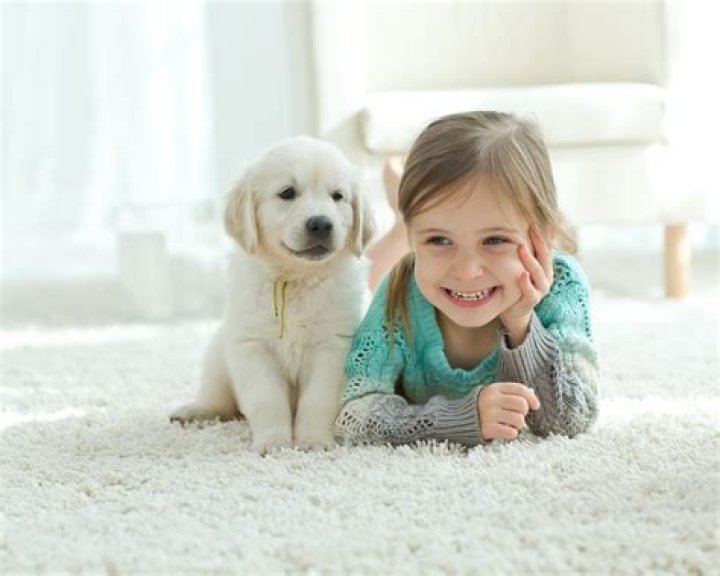 What is a good first dog for a child?