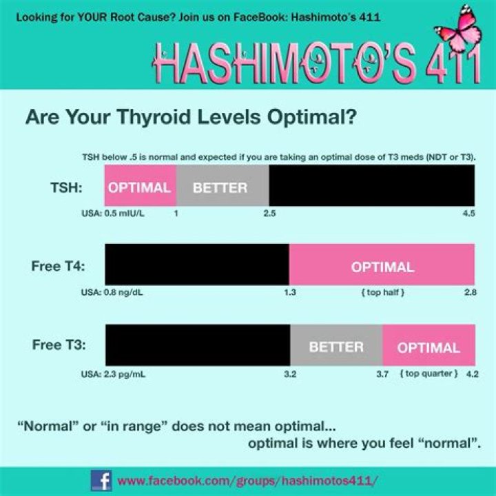 What is a good TSH level for Hashimoto's?