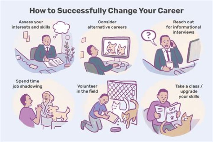 What is a successful career?