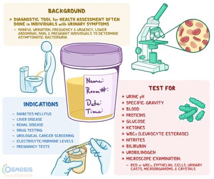 What is a urine bomb?