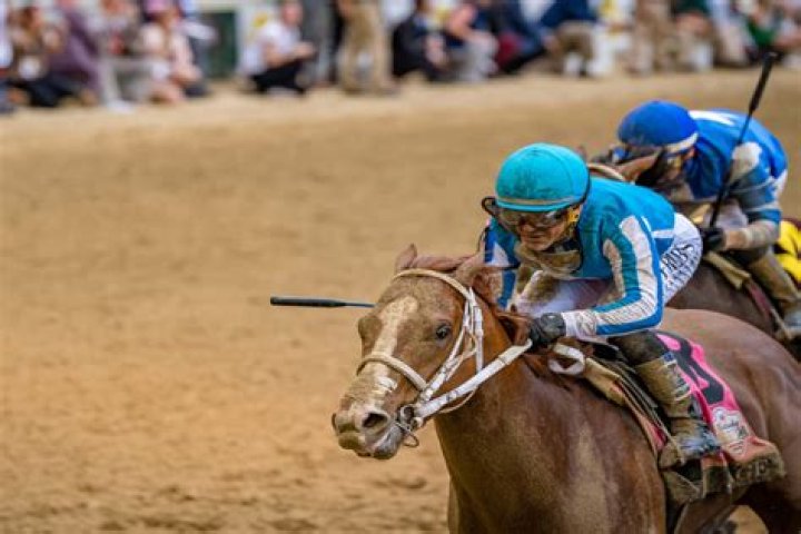 What is an A rated horse show?