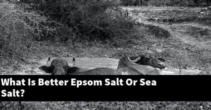 What is better Epsom salt or sea salt?