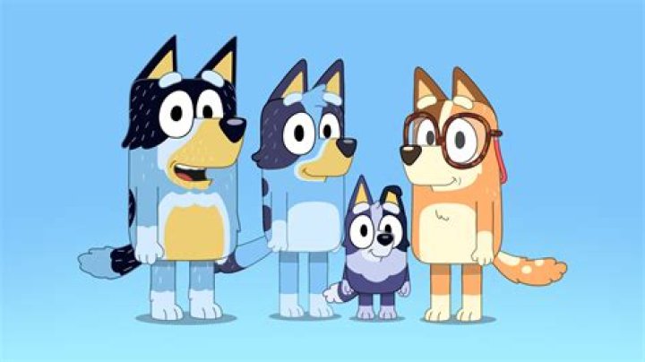 What is Blueys dads job?