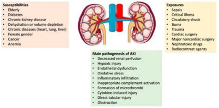 What is death by kidney failure like?