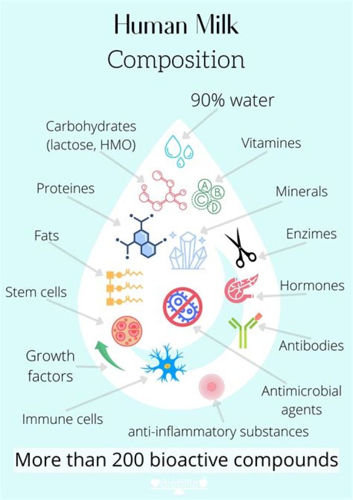 What is double milk?