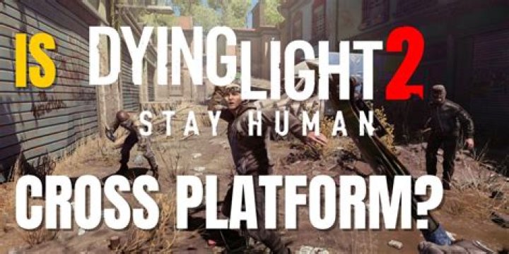 What is Dying Light 2 ng+?