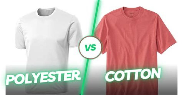 What is eating my cotton t-shirts?