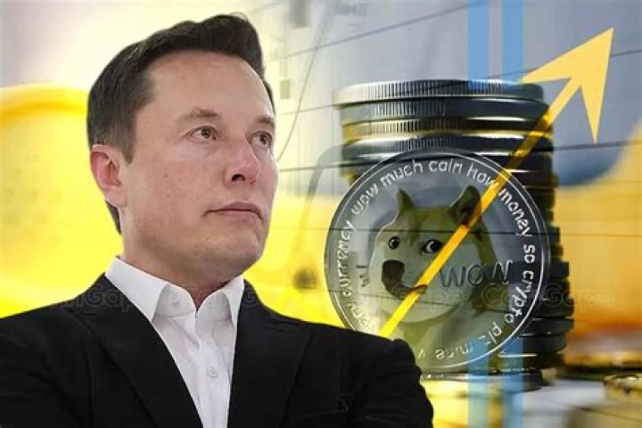 What is Elon Musk doing with Dogecoin?