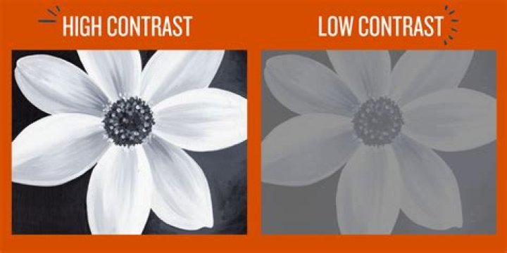 What is emphasis and contrast in art?