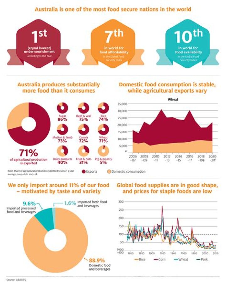 What is food security 11th?