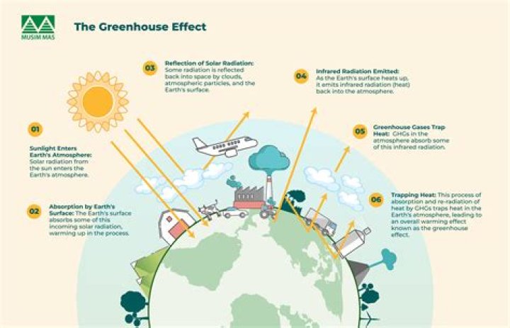 What is greenhouse effect name the gases responsible for global warming Class 8?