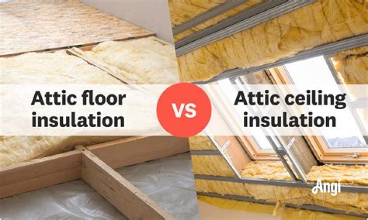 What is in my attic that scratches during the day?