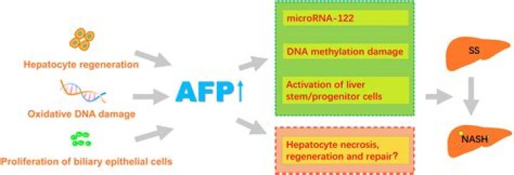 What is J1 in AFP?