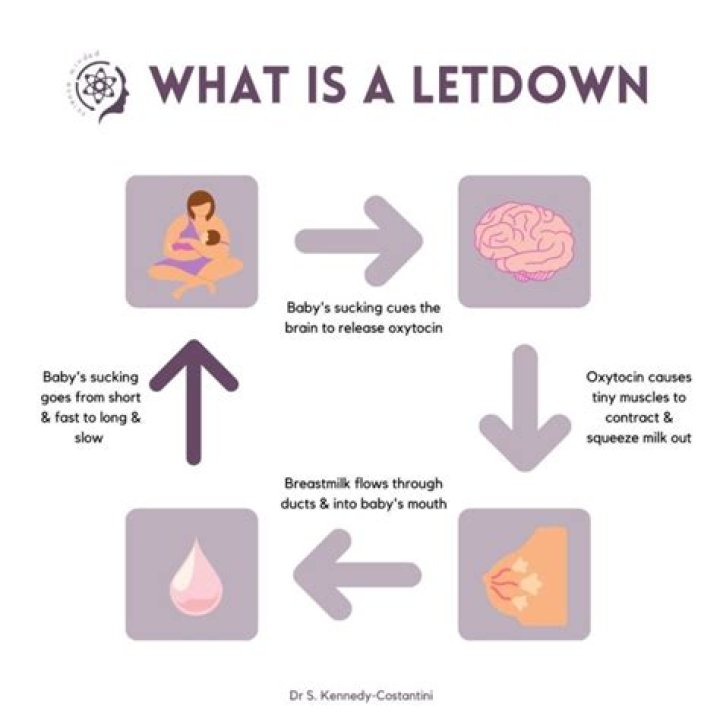 What is letdown?