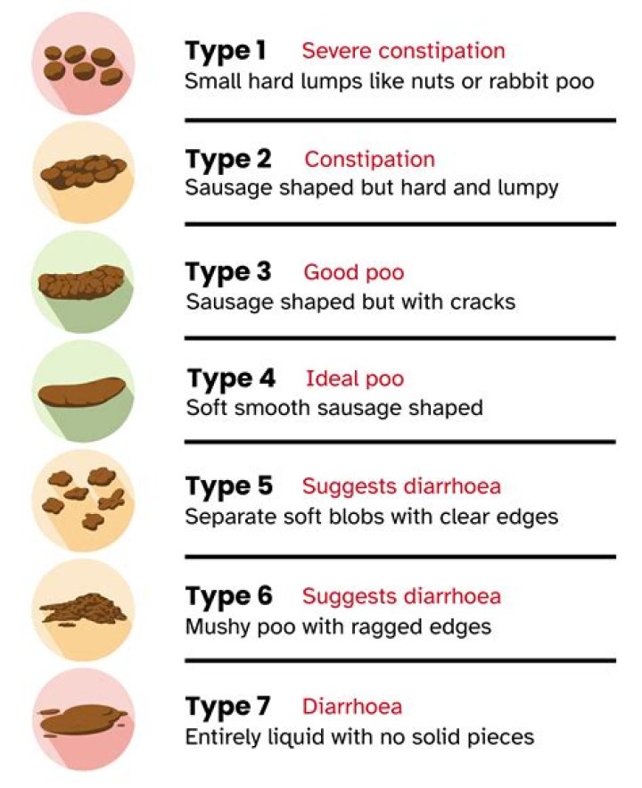 What is low poo vs no poo?