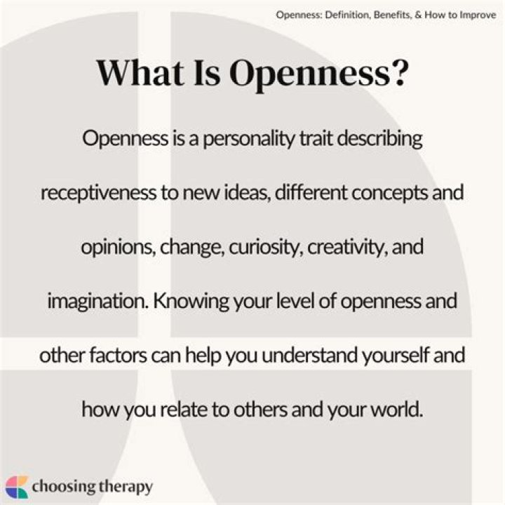 What is openness personality?