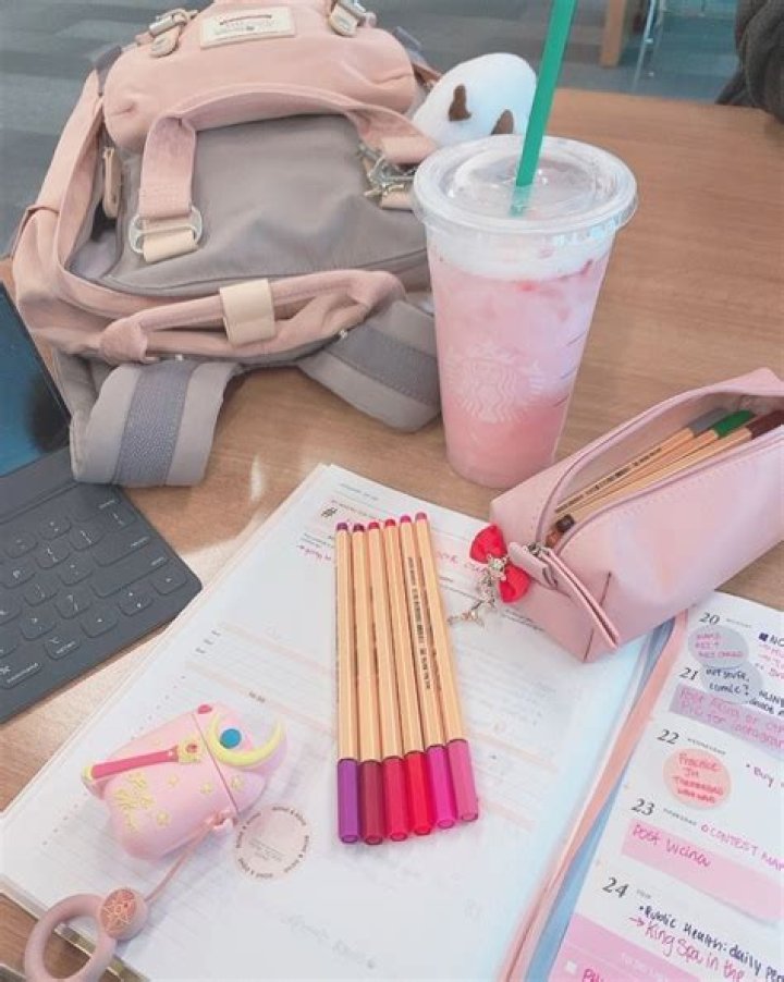 What is pastel Academia?