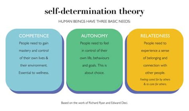What is Self Determination Theory education?
