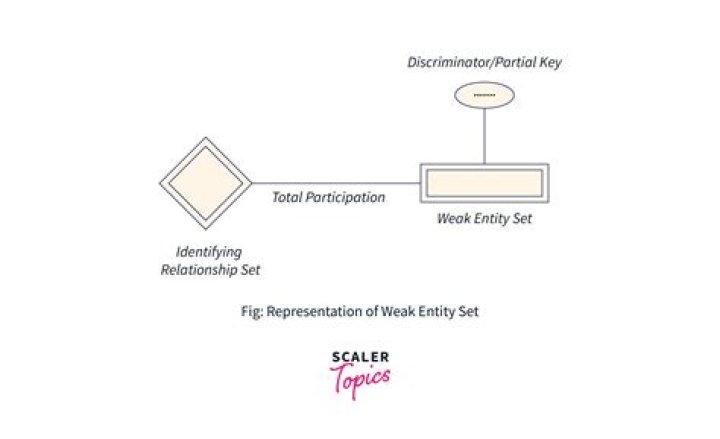 What is set and its types with example?