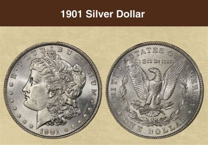 What is Silver Dollar?
