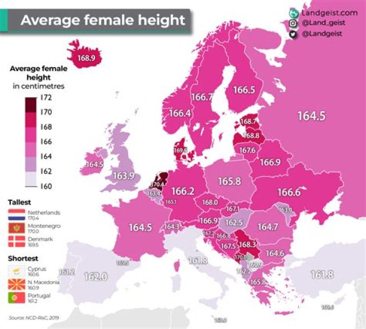 What is the average family size in Europe?