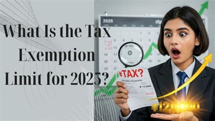 What is the basic exemption limit in income tax for trust?