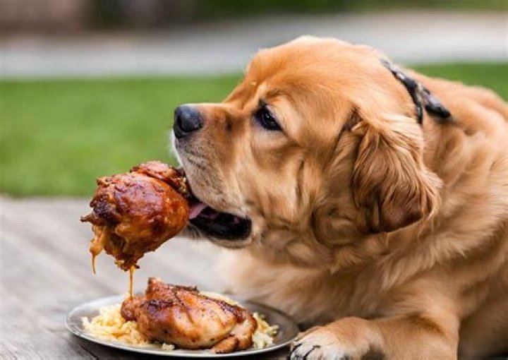 What is the best way to cook chicken for dogs?