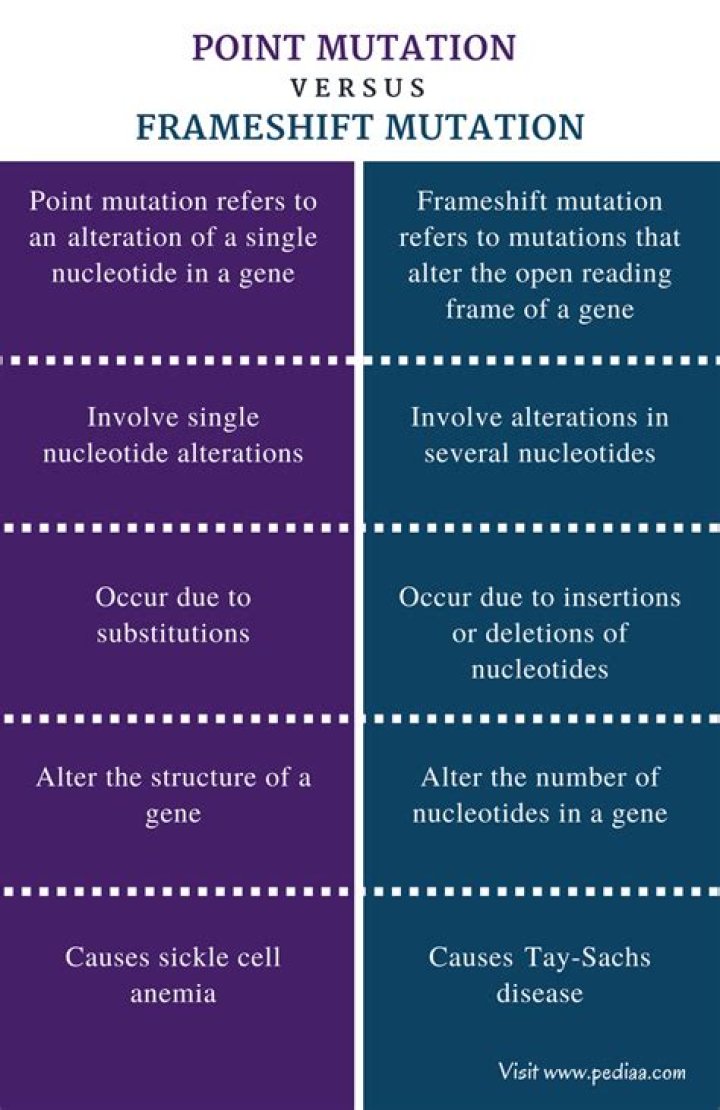 What is the difference between a point mutation and a frameshift mutation quizlet?