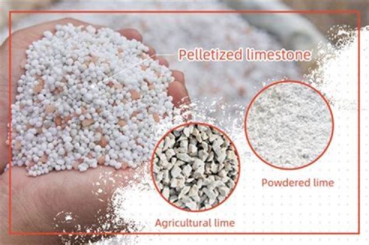 What is the difference between barn lime and agricultural lime?
