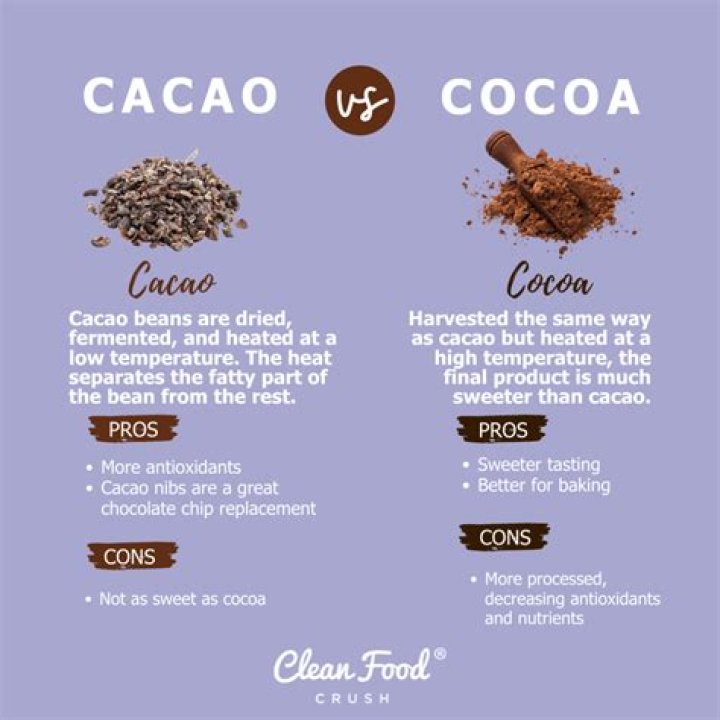 What is the difference between cocoa and cacao?