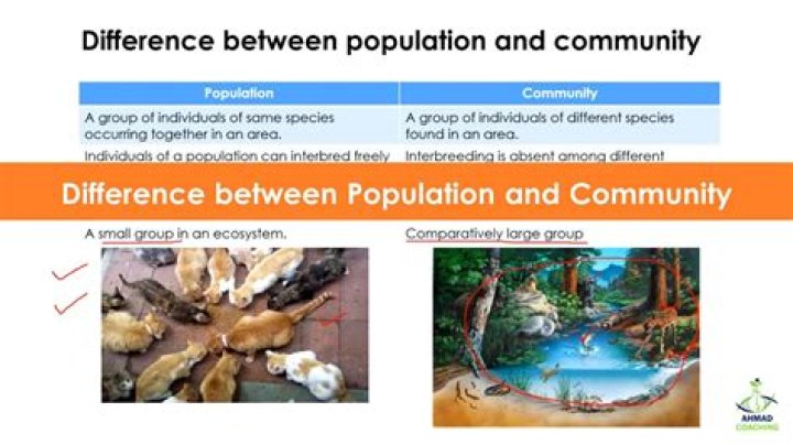 What is the difference between community development and economic development?
