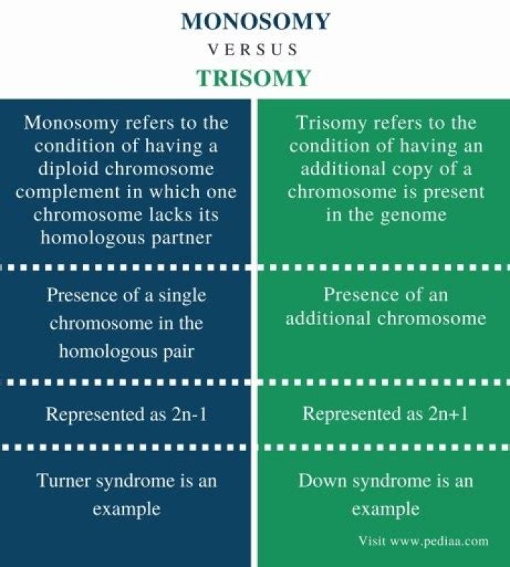 What is the difference between monosomy and trisomy?