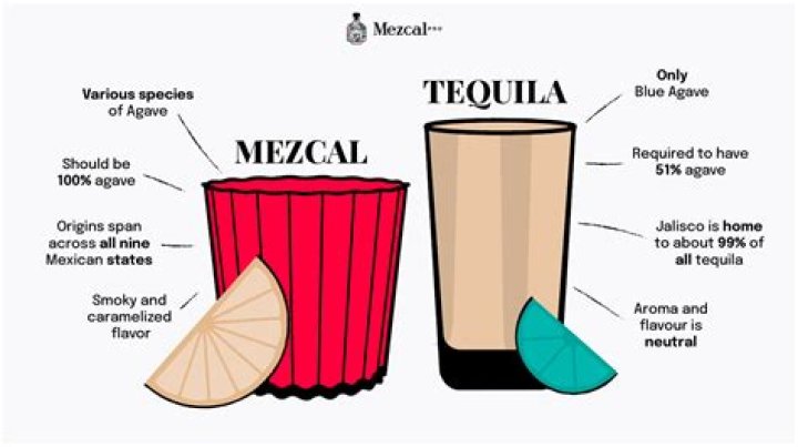 What is the difference between raicilla and tequila?