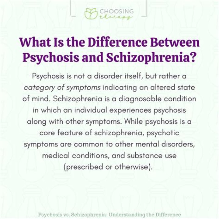 What is the difference between schizophrenia and paranoid schizophrenia?