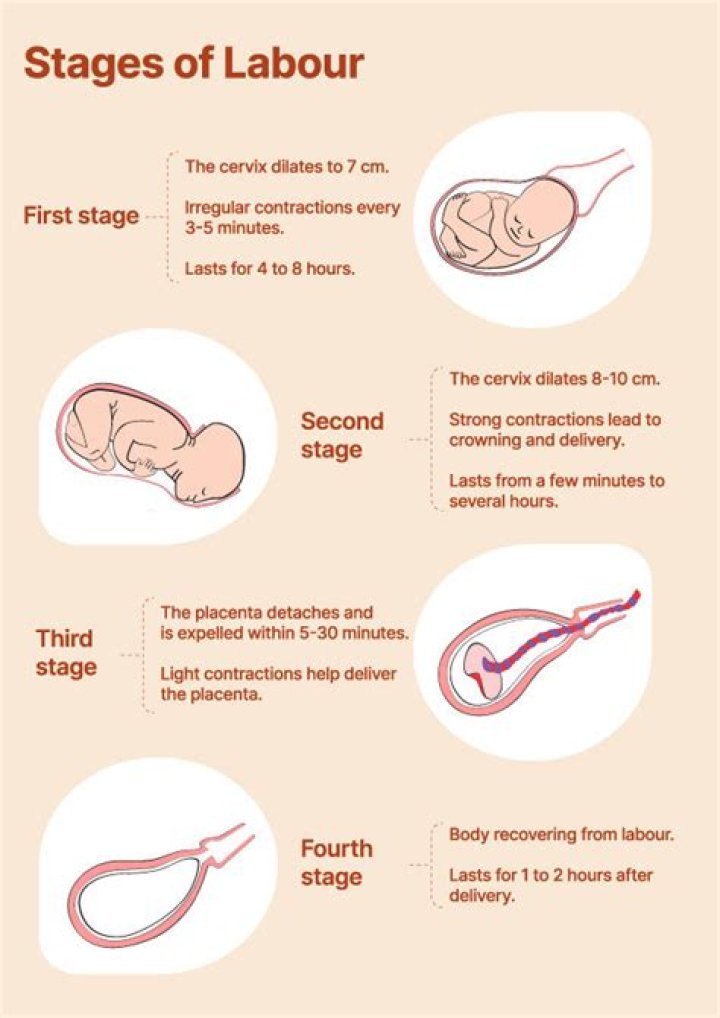 What is the early signs of labour?