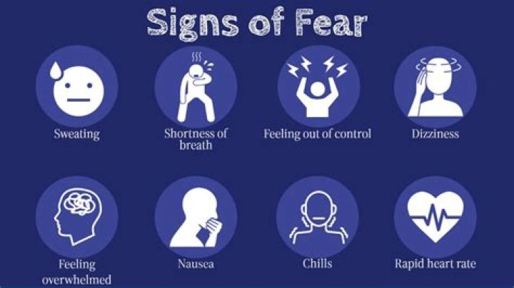 What is the fear of eyes called?