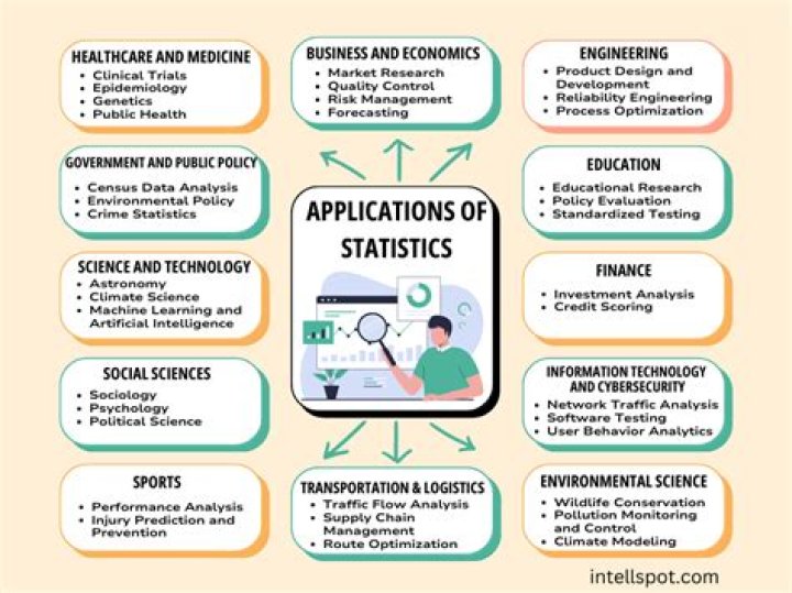What is the function of statistics discuss in detail with reference to research in education?